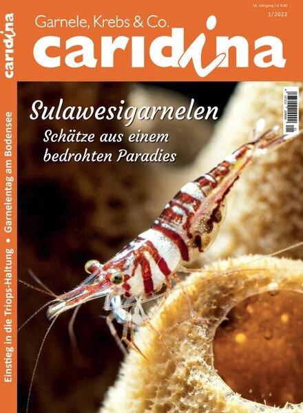 Caridina – Nr 1 2023 Cover
