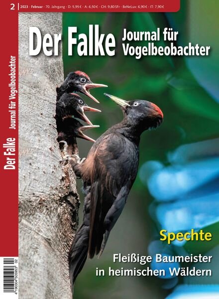 Der Falke Journal fur Vogelbeobachter – Februar 2023 Cover
