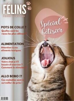 Felins pour l’autre – janvier 2023