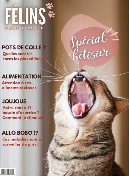 Felins pour l’autre – janvier 2023 Cover