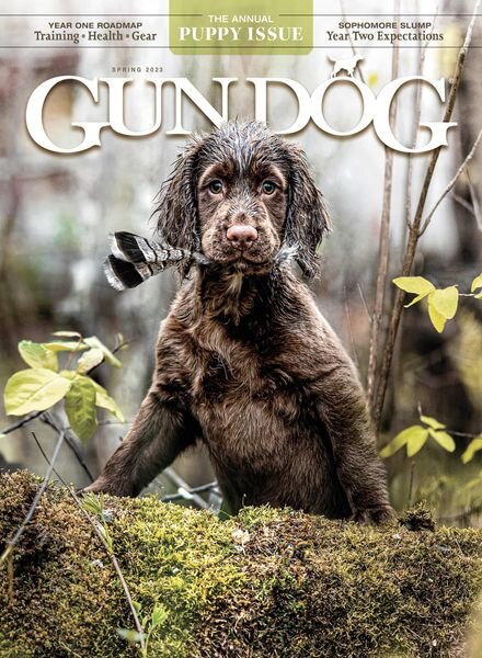 Gun Dog – March 2023 Cover