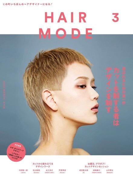 HAIR MODE – 2023-01-01 Cover