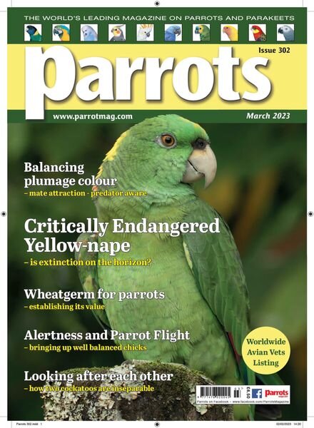 Parrots – March 2023 Cover