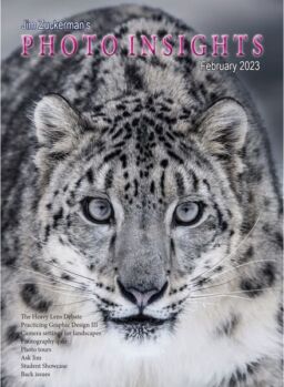 Photo Insights – Feburary 2023