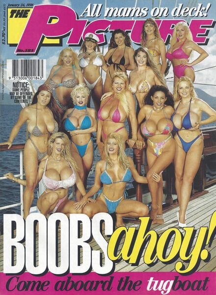 The Picture – 385, January 1996 Cover