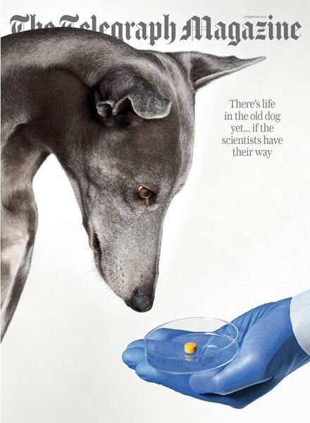 The Telegraph Magazine – 11 February 2023 Cover