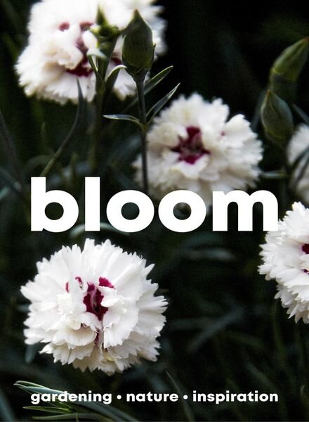 Bloom – March 2023 Cover