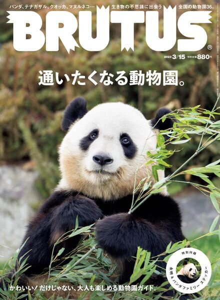 BRUTUS – 2023-02-28 Cover