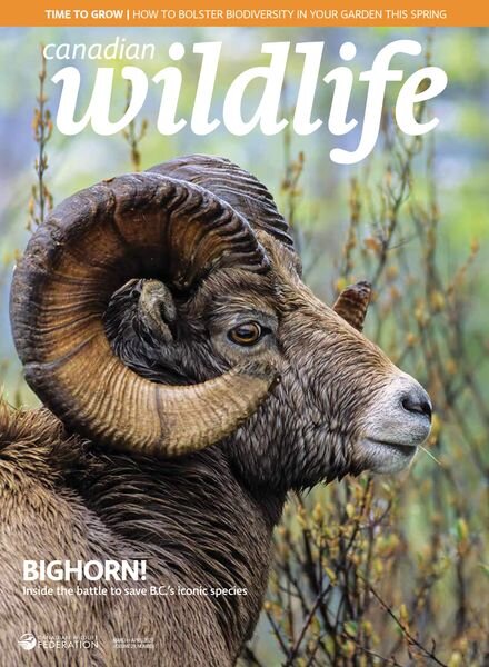 Canadian Wildlife – March-April 2023 Cover