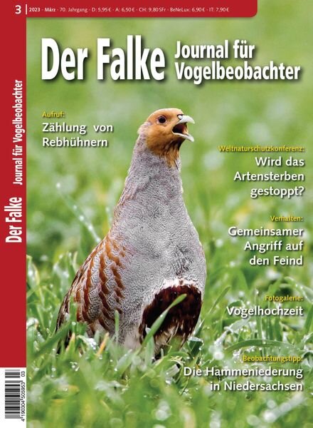 Der Falke Journal fur Vogelbeobachter – Marz 2023 Cover