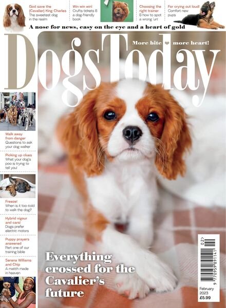 Dogs Today UK – February 2023 Cover