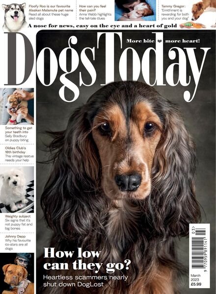 Dogs Today UK – March 2023 Cover