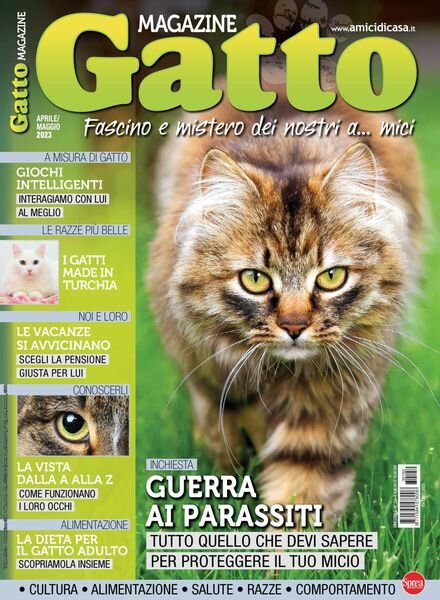 Gatto Magazine – marzo 2023 Cover