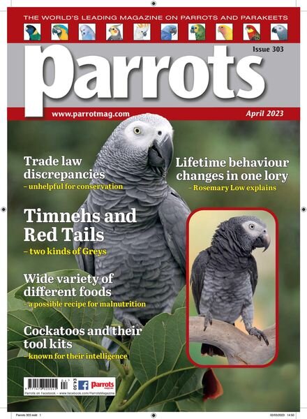 Parrots – April 2023 Cover