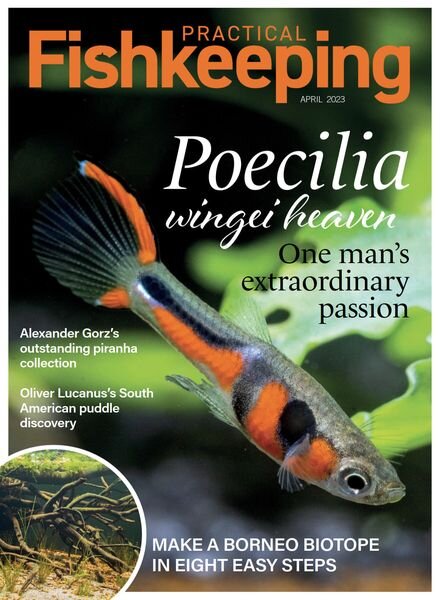 Practical Fishkeeping – April 2023 Cover