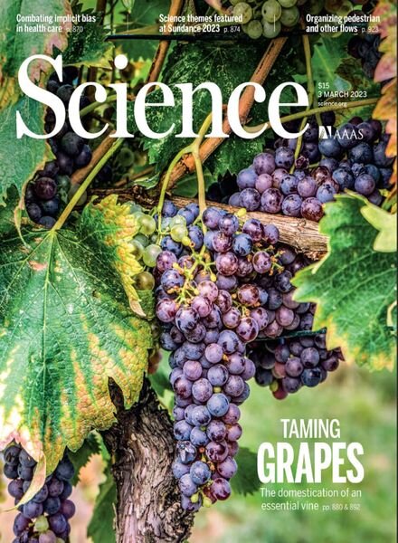 Science – 03 March 2023 Cover