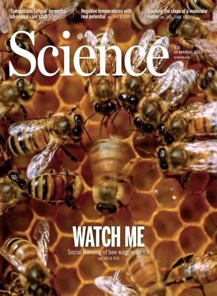 Science – 10 March 2023 Cover