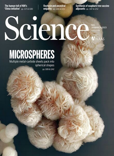 Science – 24 March 2023 Cover