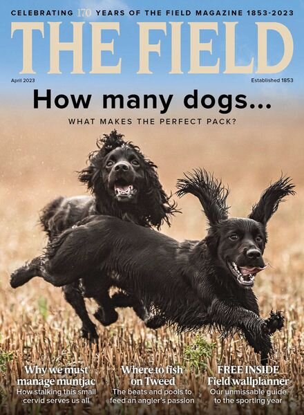 The Field – April 2023 Cover
