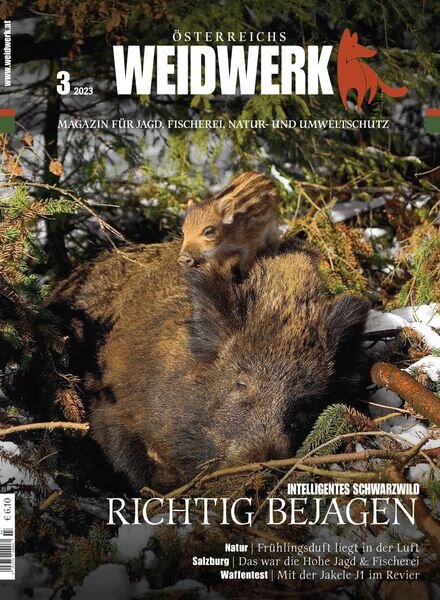 WEIDWERK – Marz 2023 Cover