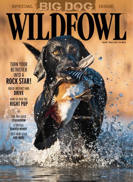 Wildfowl – April 2023 Cover