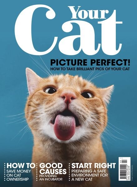 Your Cat – April 2023 Cover