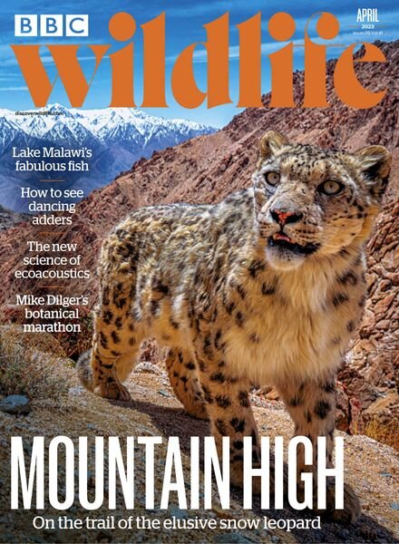 BBC Wildlife – April 2023 Cover