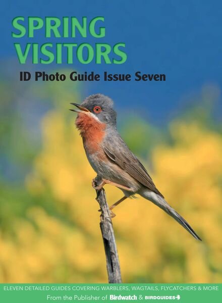 Bird ID Photo Guides – 14 April 2023 Cover