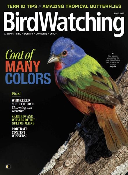 BirdWatching USA – May-June 2023 Cover