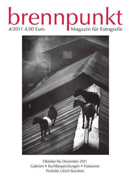 brennpunkt – Oktober 2011 Cover
