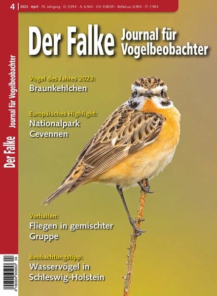 Der Falke Journal fur Vogelbeobachter – April 2023 Cover