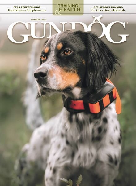 Gun Dog – June 2023 Cover