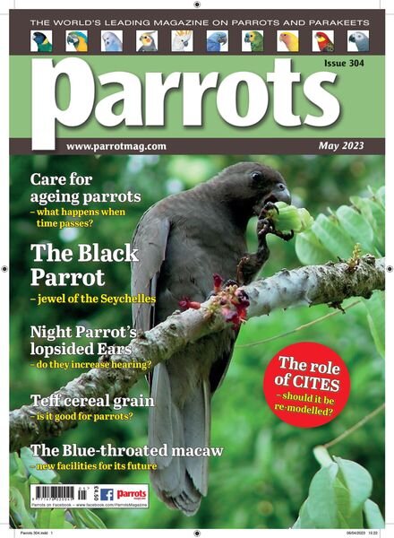 Parrots – May 2023 Cover