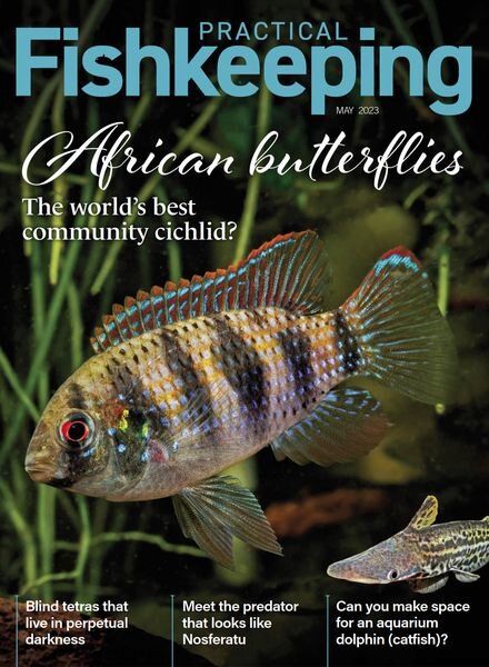 Practical Fishkeeping – May 2023 Cover