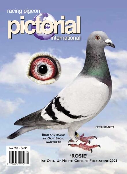 Racing Pigeon Pictorial International – March 2023 Cover