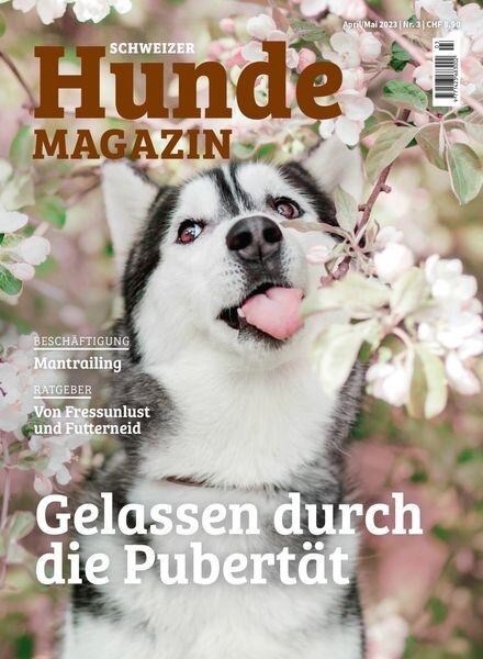 Schweizer Hunde Magazin – 06 April 2023 Cover