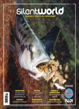 Silent World – 12 April 2023