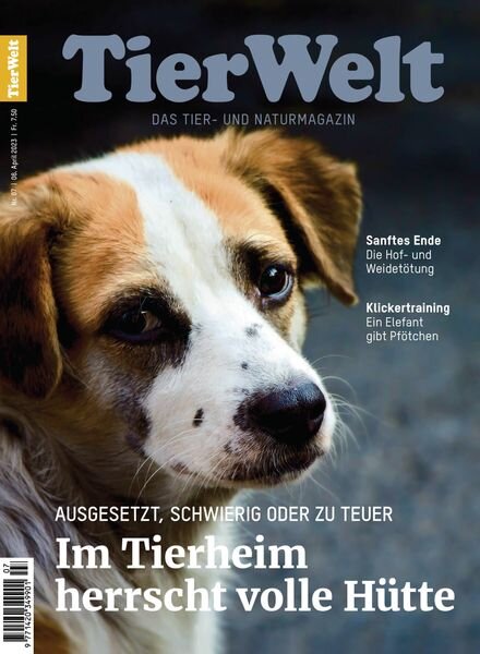 TierWelt – 08 April 2023 Cover