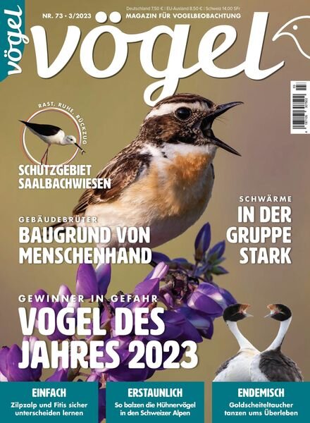 VOGEL – Magazin fur Vogelbeobachtung – 06 April 2023 Cover