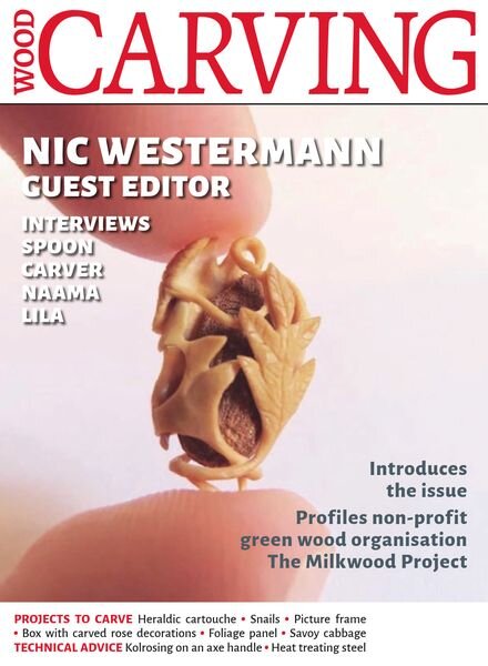 Woodcarving – Issue 193 – April 2023 Cover
