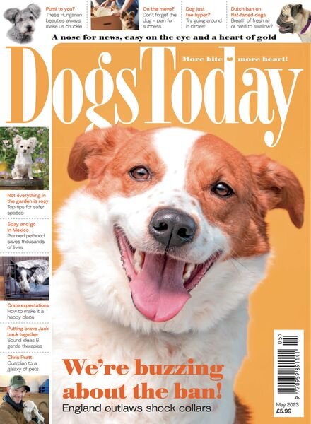 Dogs Today UK – May 2023 Cover