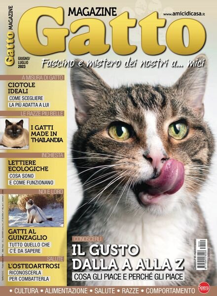 Gatto Magazine – giugno 2023 Cover