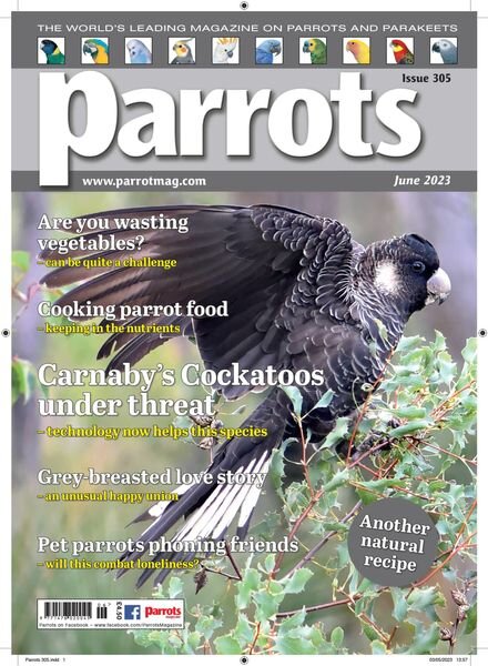 Parrots – June 2023 Cover