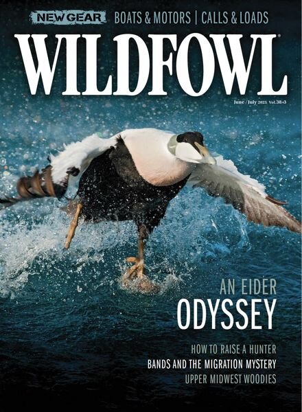 Wildfowl – June 2023 Cover