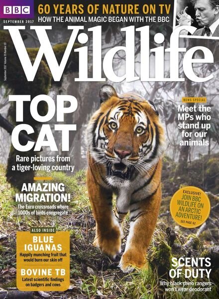 BBC Wildlife – August 2017 Cover
