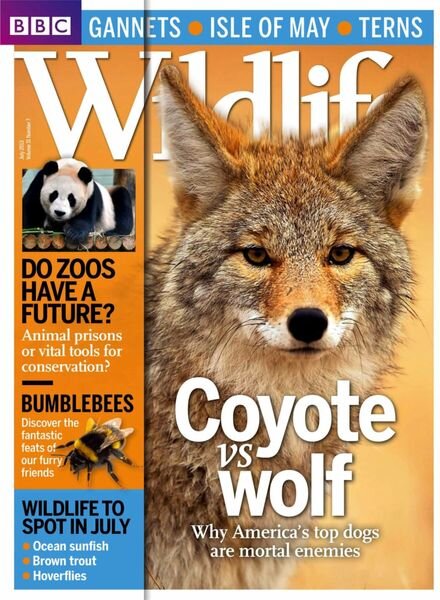 BBC Wildlife – June 2013 Cover