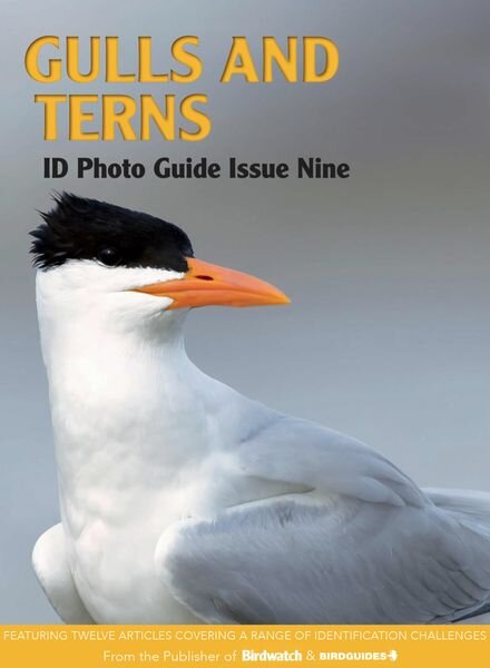 Bird ID Photo Guides – 05 June 2023 Cover