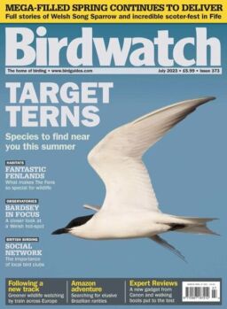 Birdwatch UK – July 2023
