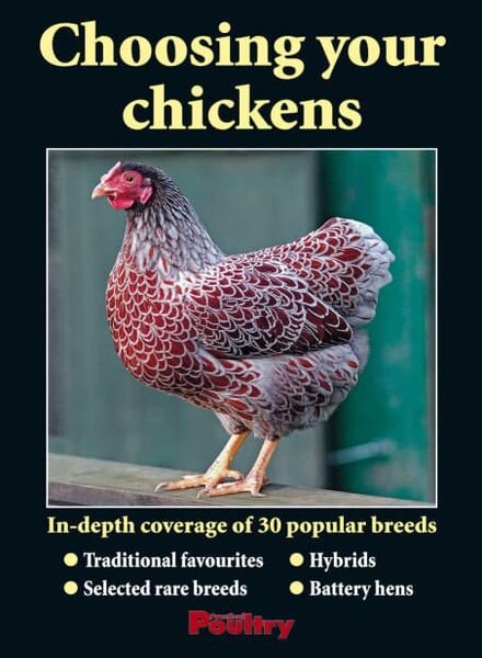 Choosing your chickens – April 2011 Cover