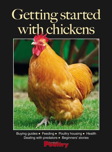 Getting started with chickens – April 2011 Cover